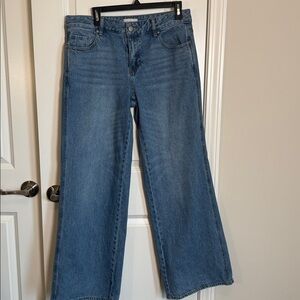 PacSun Classic Denim Wide Leg Jeans